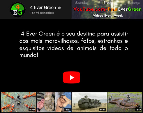 4 Ever Green